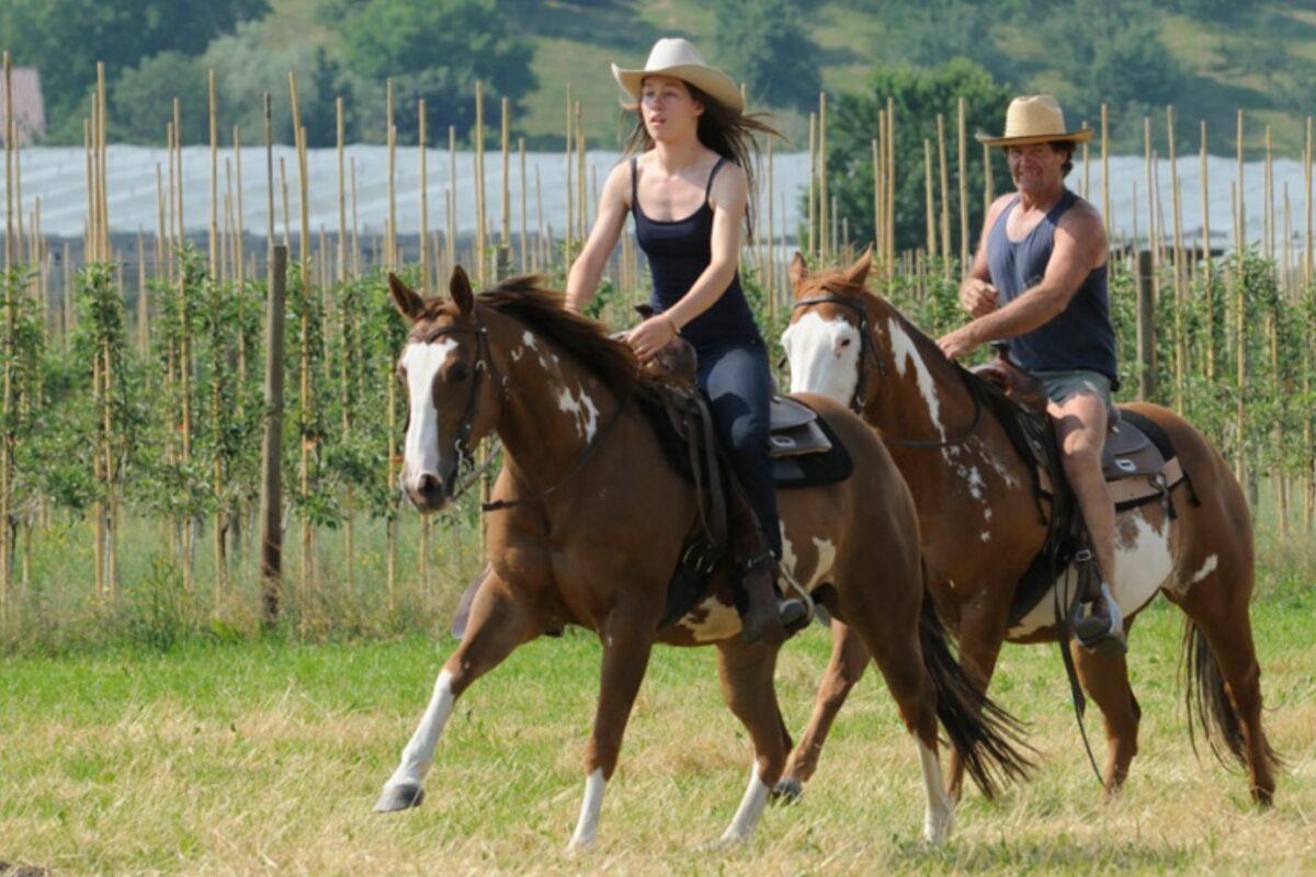 Naturresort Gerbehof ,Pferdehof