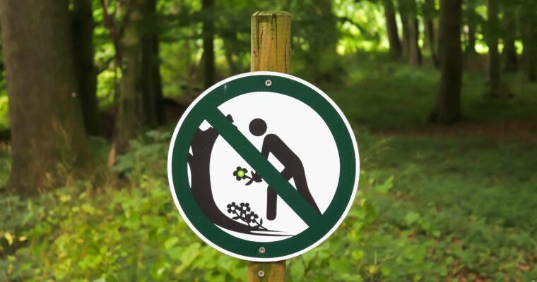 Bringing plants home from vacation: Why you shouldn’t