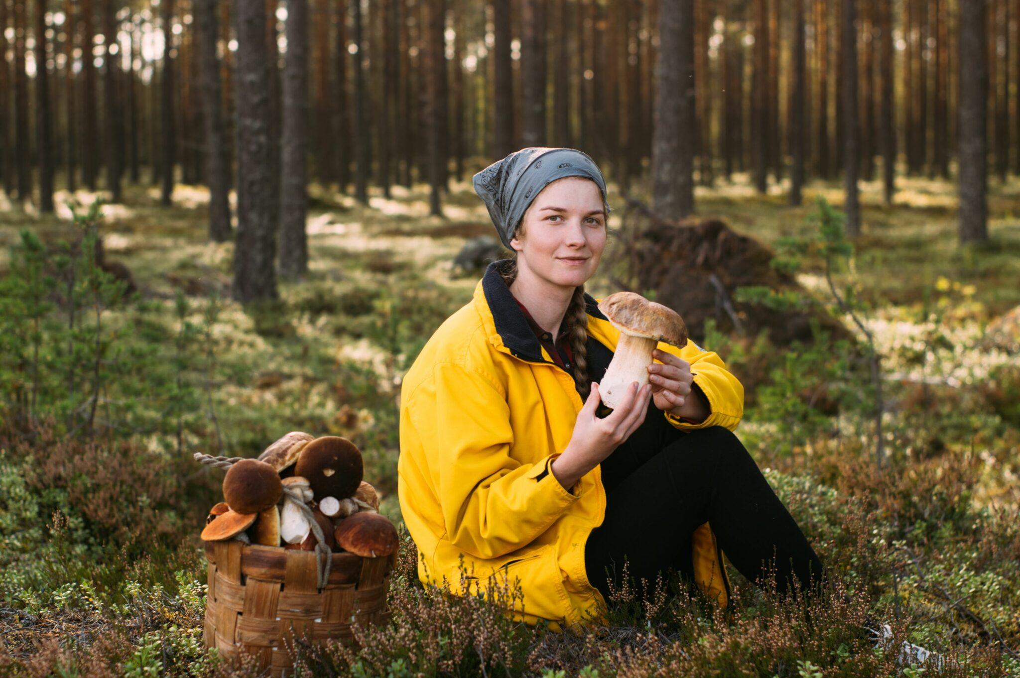 Mushrooms as a meat substitute? A sustainability check on the trend and where to try it