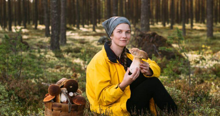 Mushrooms as a meat substitute? A sustainability check on the trend and where to try it