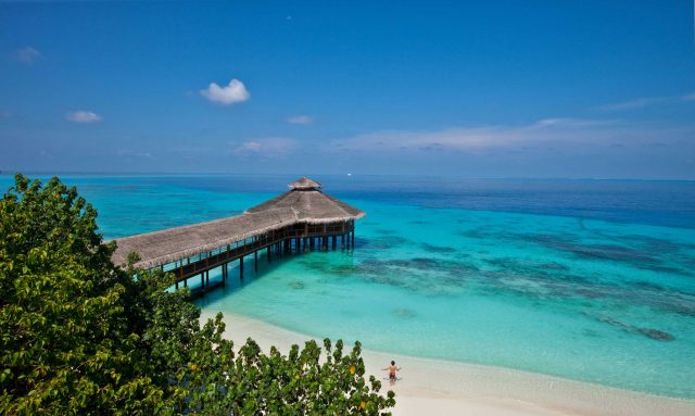 You can find a perfect spot for sustainable diving on the Maldives.