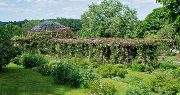 Sustainable restaurants and cafes in Darmstadt