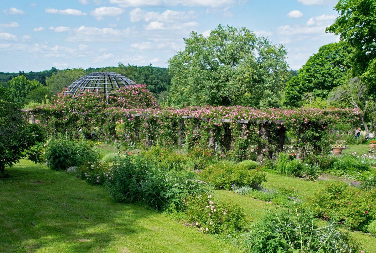 Sustainable restaurants and cafes in Darmstadt