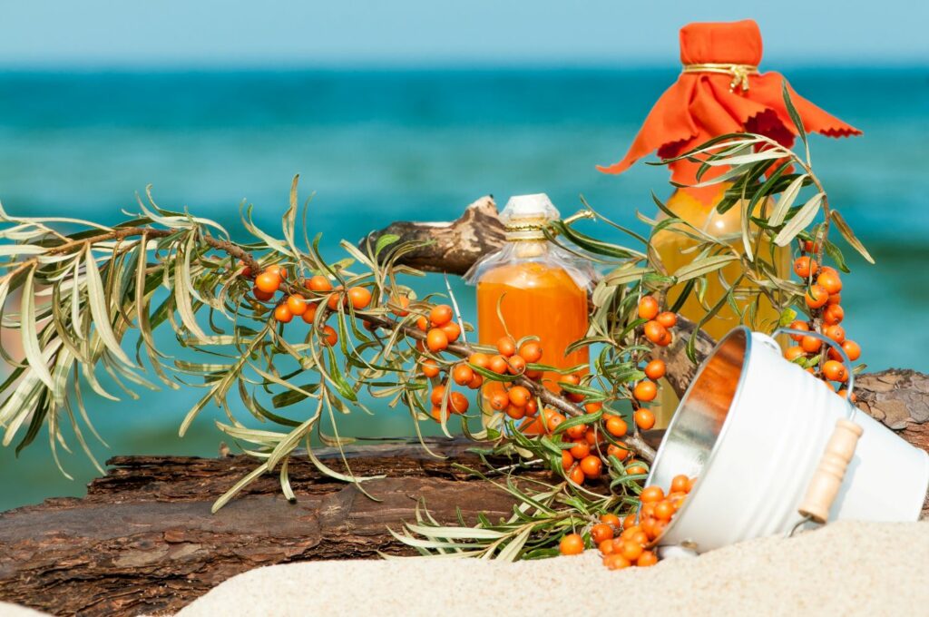 Sea buckthorn and sea buckthorn products from the Baltic Sea