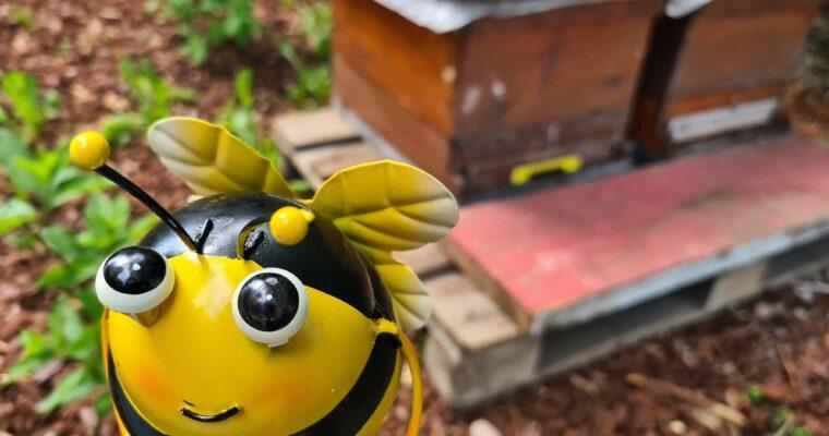 Promoting garden biodiversity