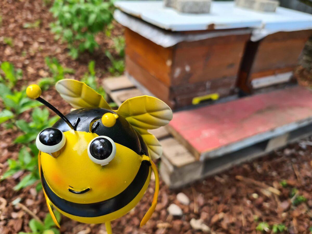 Promoting garden biodiversity