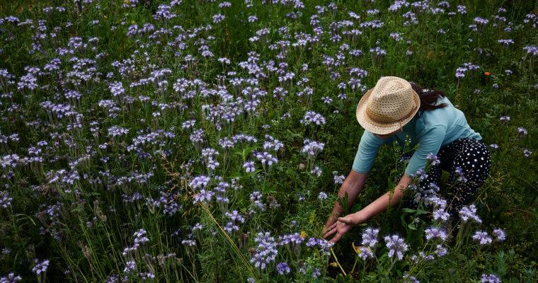 Is garden permaculture the answer to the climate crisis? An Interview with hotel gardener Marie Louise Troll from Gut Sonnenhausen
