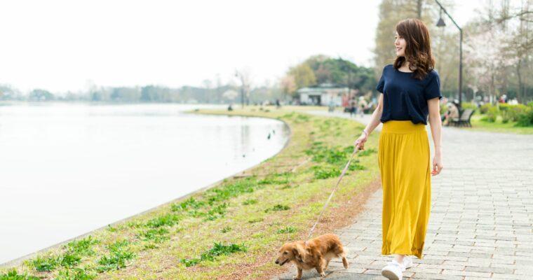 Slow Travel on foot – Why you should discover your destination by walking