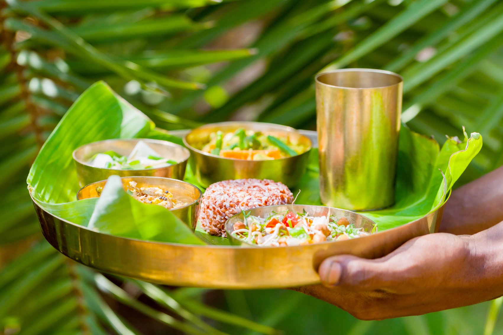 Ayurveda: Healthy, organic, and local food for your body's balance.