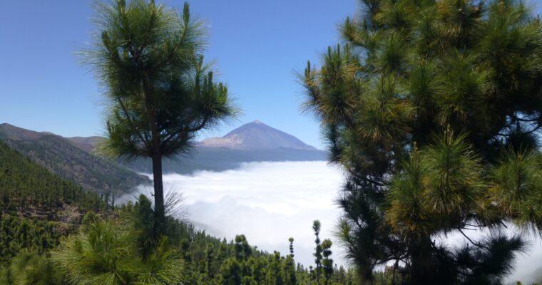 National Park vacation – Our 7 Recommendations