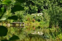 Naturteich | © Gut Nisdorf