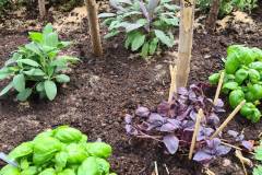 Naschgarten-Schwarzwald-Panorama-8