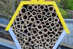 Naschgarten-Schwarzwald-Panorama-4