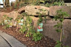 Naschgarten-Schwarzwald-Panorama-6