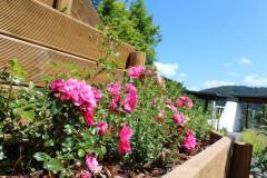 Naschgarten-Schwarzwald-Panorama-9
