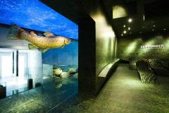 Ausstellung Almsommer & Wilde Wasser