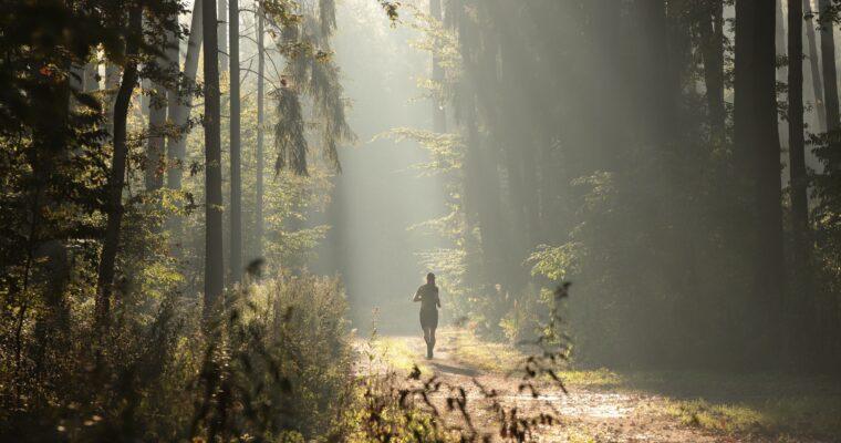 Trail running in Germany – Tips and Trails from and near the sustainable Green PearlsⓇ Hotels | Part 1 from 2