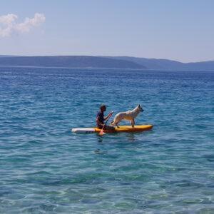 Urlaub mit Hund am Wasser: Spaß auf dem Stand-up Paddle