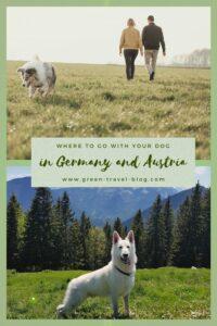 Dog-friendly vacation in Austria and Germany