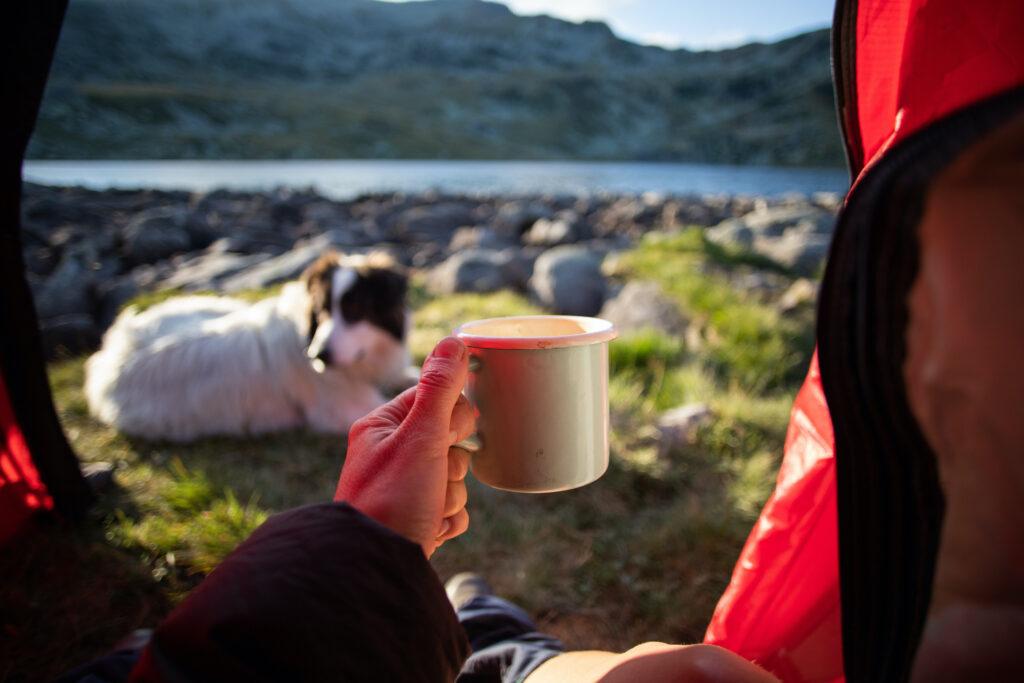camping with dog red tent