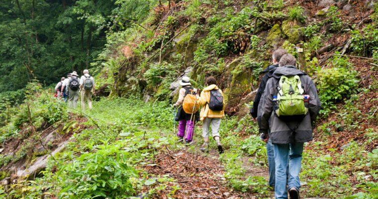 Going Green – Sustainable teambuilding weekend at the SCHWARZWALD PANORAMA