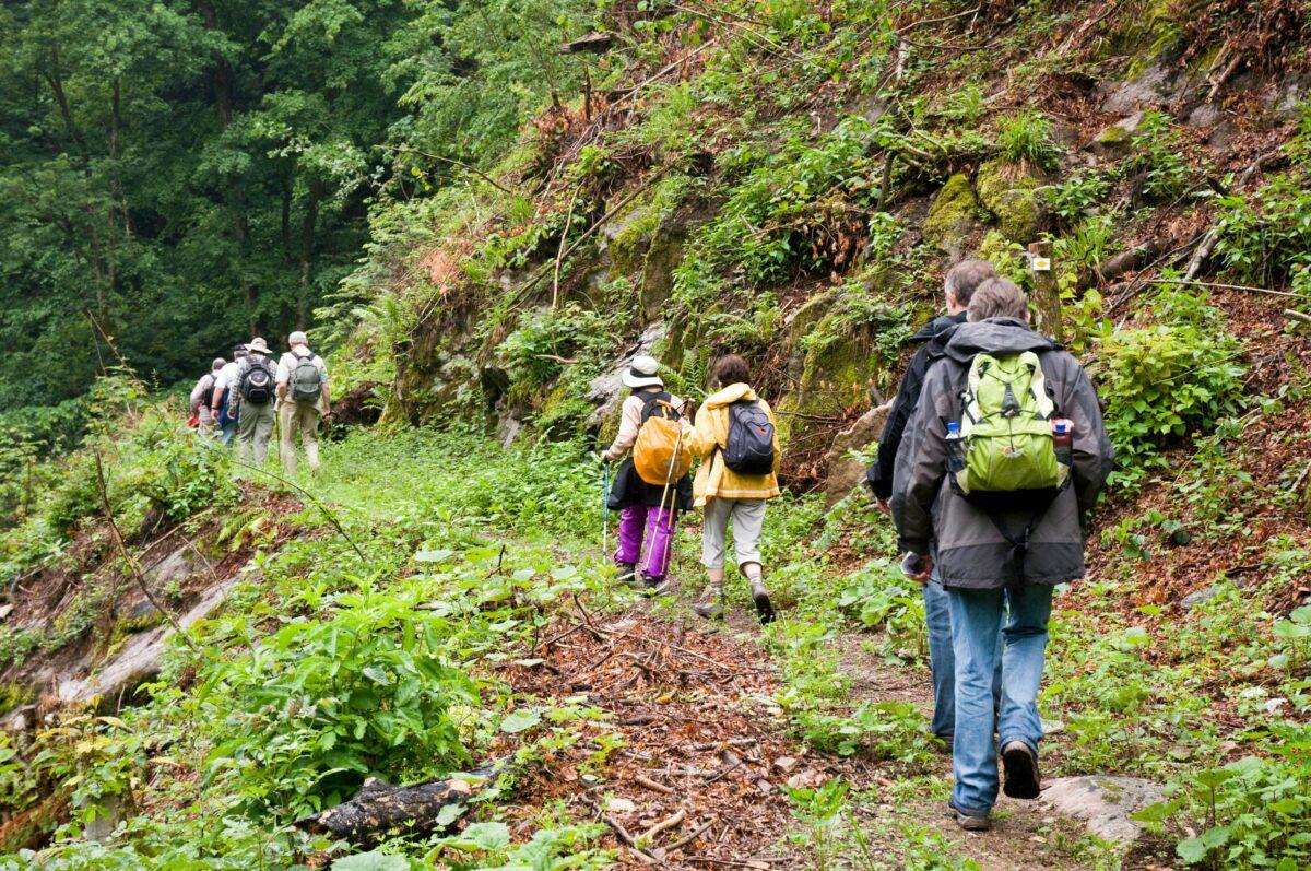 Going Green – Sustainable teambuilding weekend at the SCHWARZWALD PANORAMA