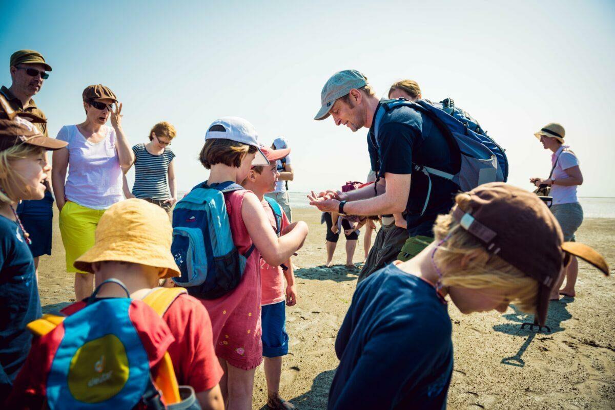 Die Kinderuniversität Juist: So spannend ist Nachhaltigkeit