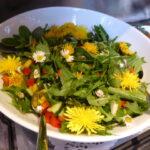 Wildkräutersalat, Gut Nisdorf