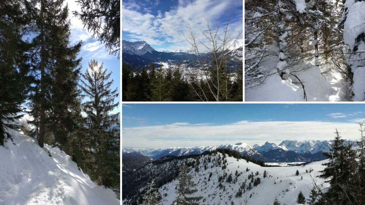 Winter highlight: snowshoe hiking