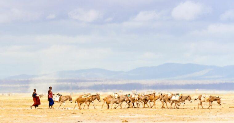 Travel in times of climate change: What’s at stake now