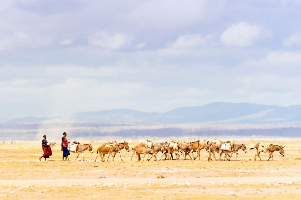 Travel in times of climate change: What’s at stake now