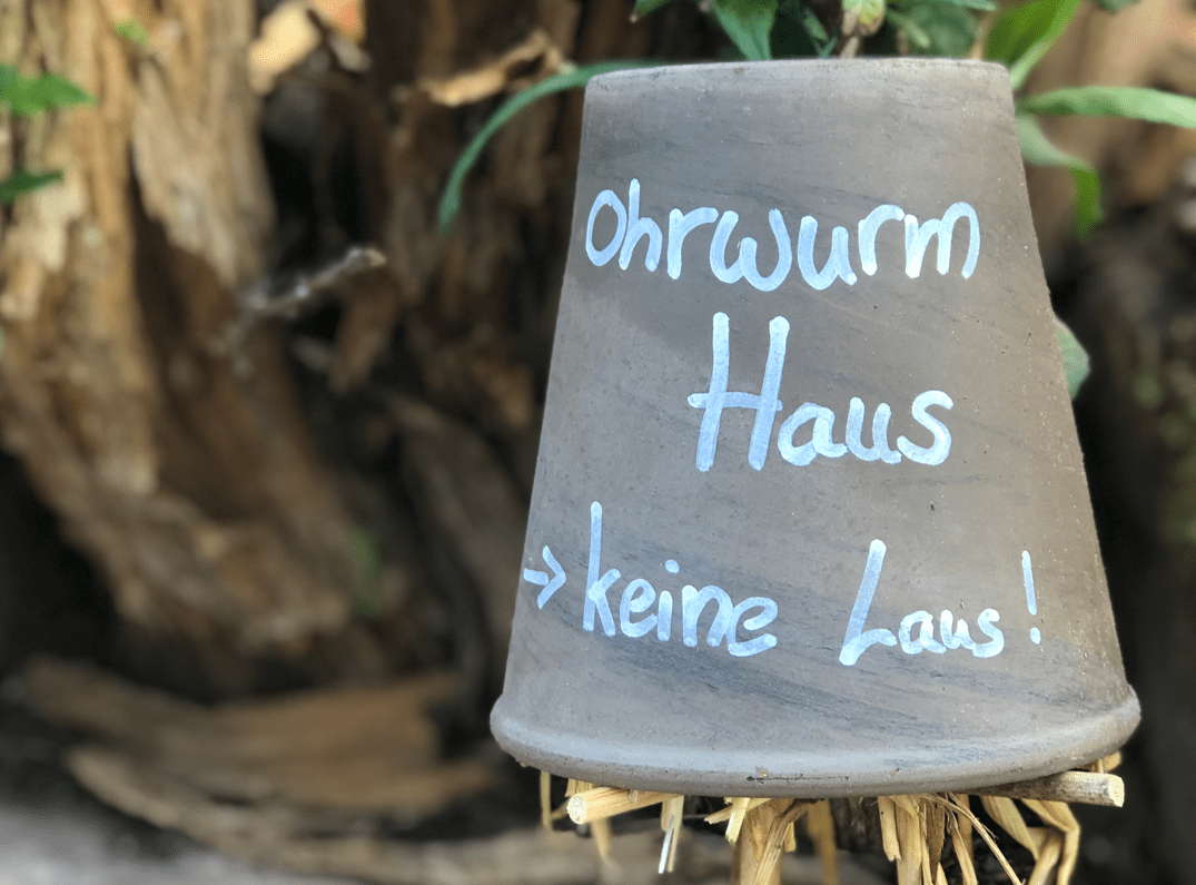 Species conservation in everyday life – 10 tips