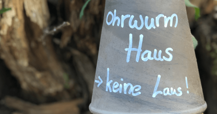 Species conservation in everyday life – 10 tips