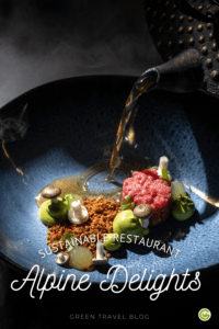 On the pin you can see a plate in a Gormet restaurant. On it there are vegetables and beef tartar. Someone outside the picture is pouring a liquid from a pot onto the plate, which resembles tea. The pot is black.