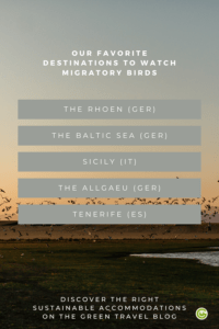 Sustainable destinations for birdwatching in autumn