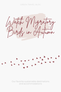 Watch migratory birds in the fall at these sustainable destinations