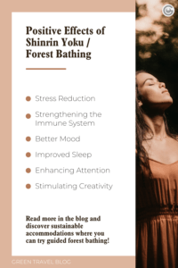 Effects of forest bathing: List for Pinterest
