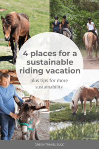 On the pin are presented four places for a sustainable riding vacation.