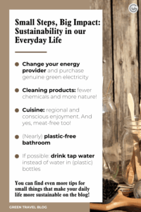 Infographic titled 'Small Steps, Big Impact: Sustainability in our Everyday Life' with a rustic wooden background. Tips include changing energy providers, using natural cleaning products, opting for regional and meat-free cuisine, having a plastic-free bathroom, and drinking tap water. Promotes sustainability.