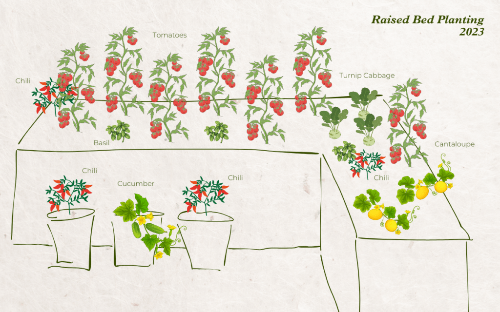 Raised bed planting scheme 2023