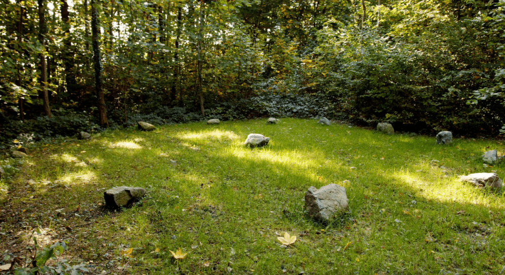 Place of power of the nature resort Gerbehof in the forest
